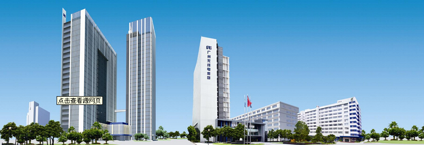 河北金博电梯-广州无线电集团